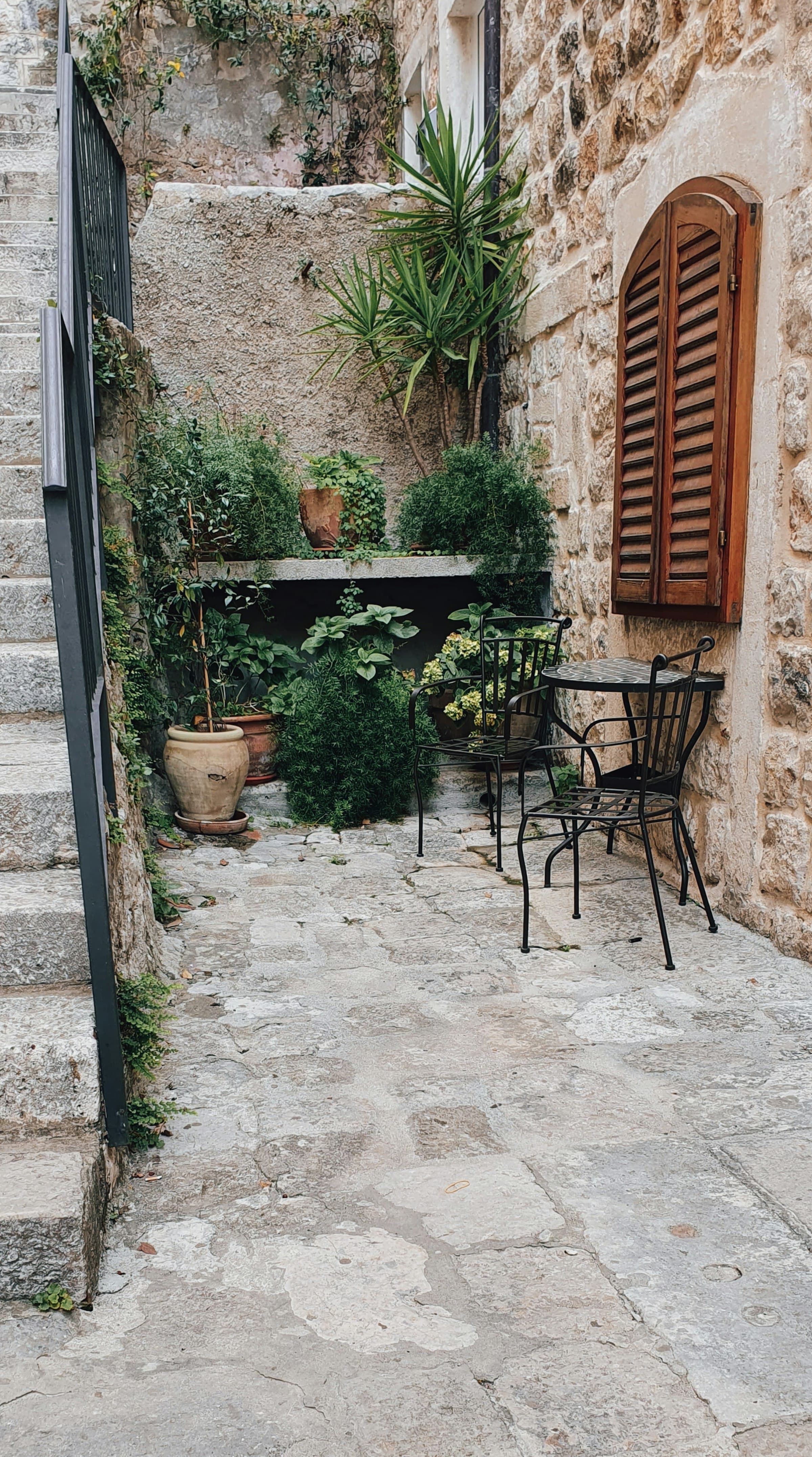 La terrasse en pierre, à l'ombre des oliviers